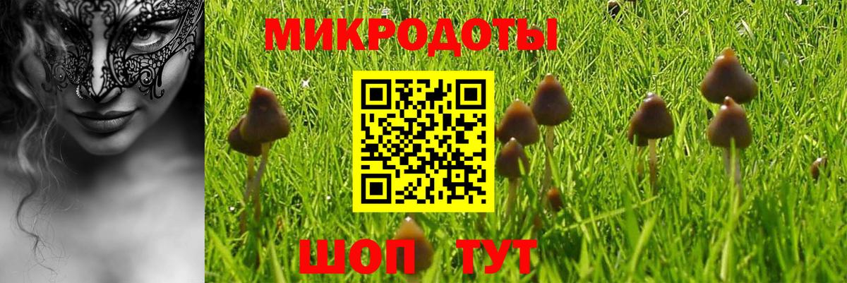 Семёнов  Галлюциногенные грибы MAGIC MUSHROOMS  Вход с VPN  Псилоцибиновые грибы мухоморы 